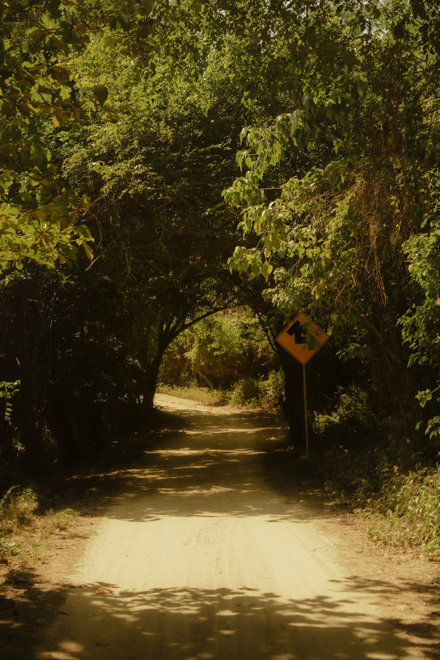 A dream postponed to&nbsp;2027..