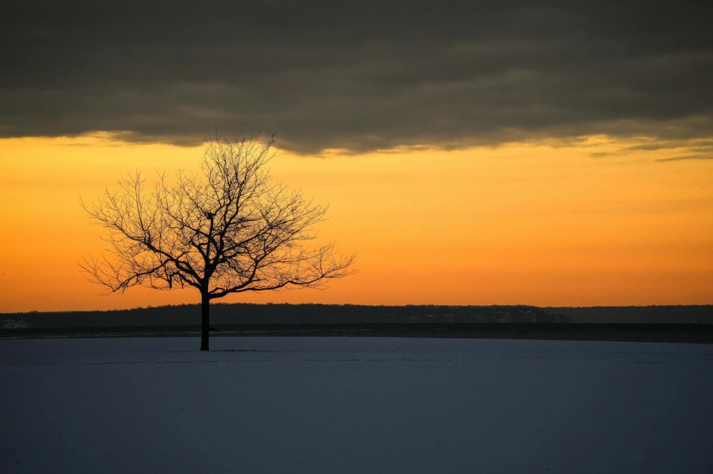 A deep sleep and an eye catching&nbsp;play…