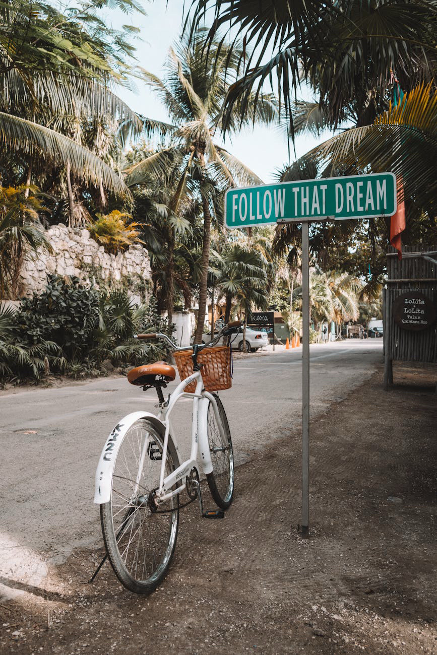 A creative dreamland