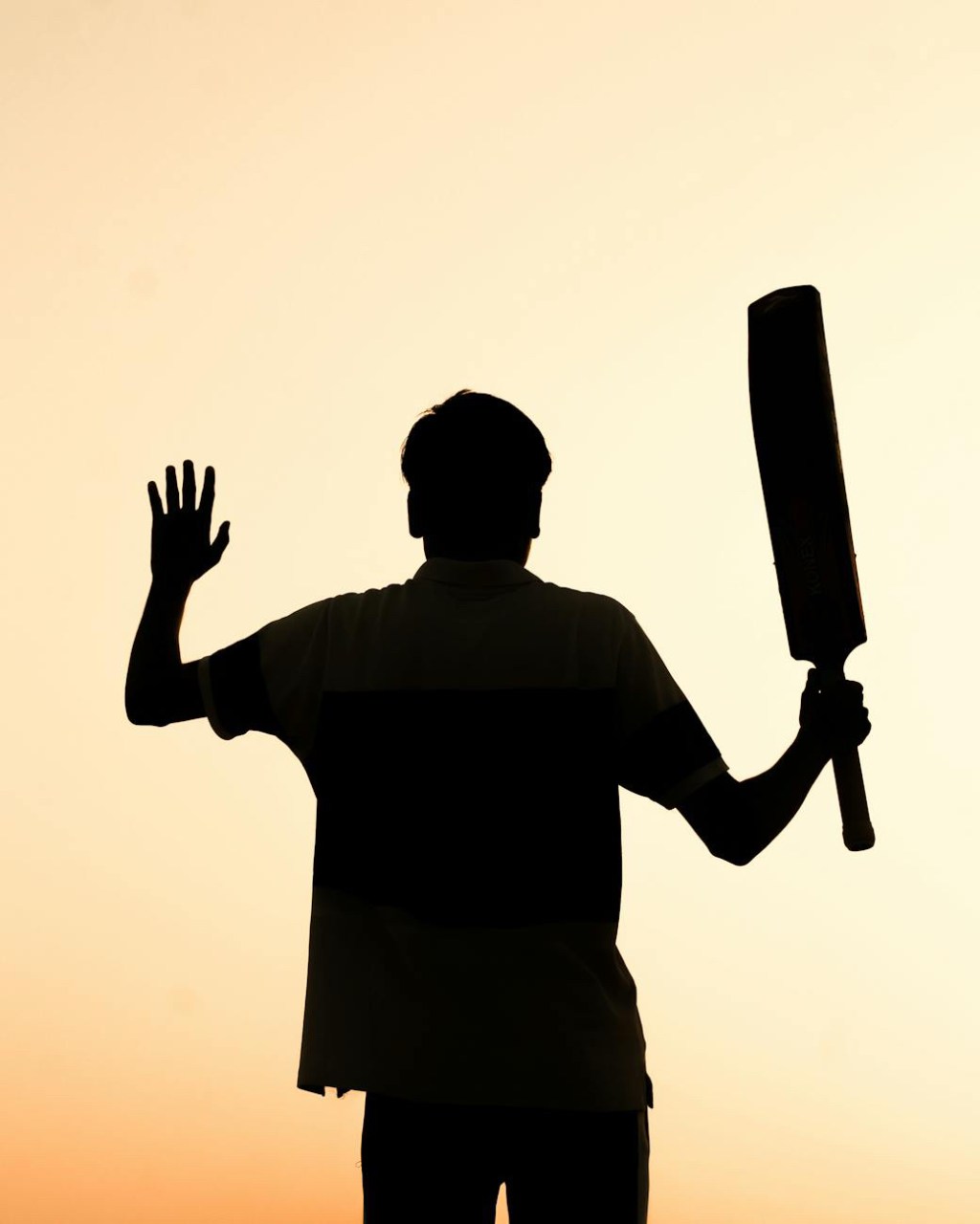 Genuine dislike for cricket and these four&nbsp;walls…!