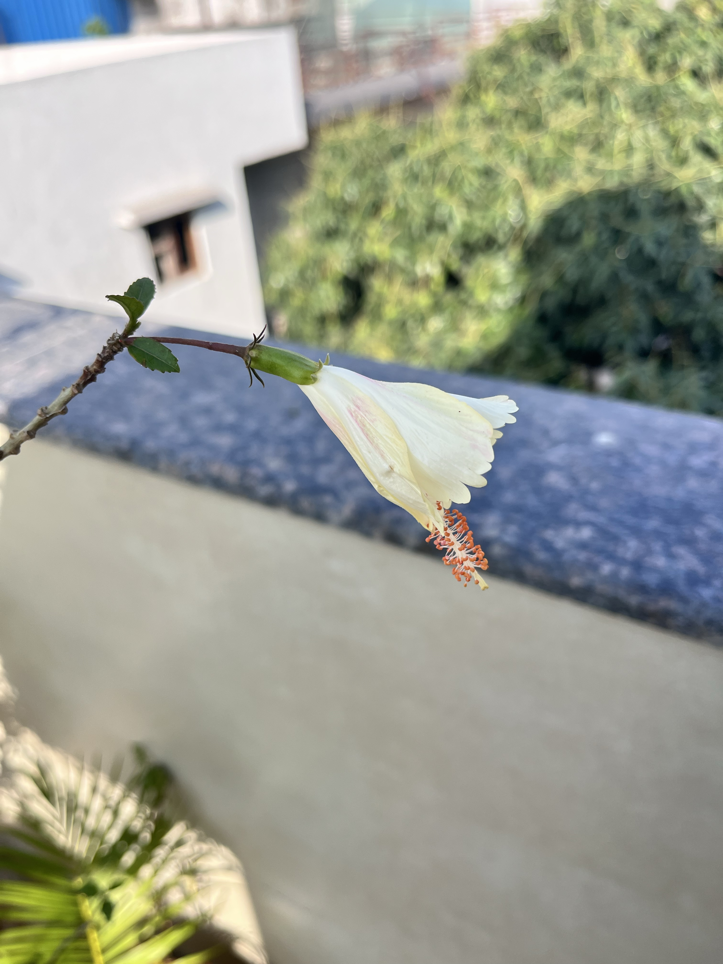 A perspective and a conversation about cremation ground…!