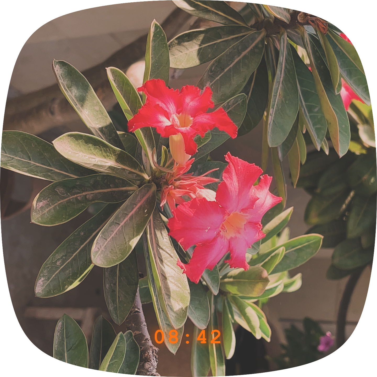 To be good or learning something new about self…!